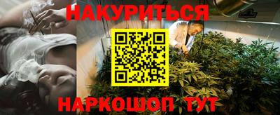 шишки Кандалакша