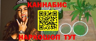 шишки Кандалакша