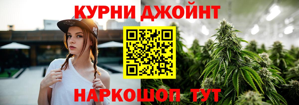 Бошки Шишки планчик Кропоткин